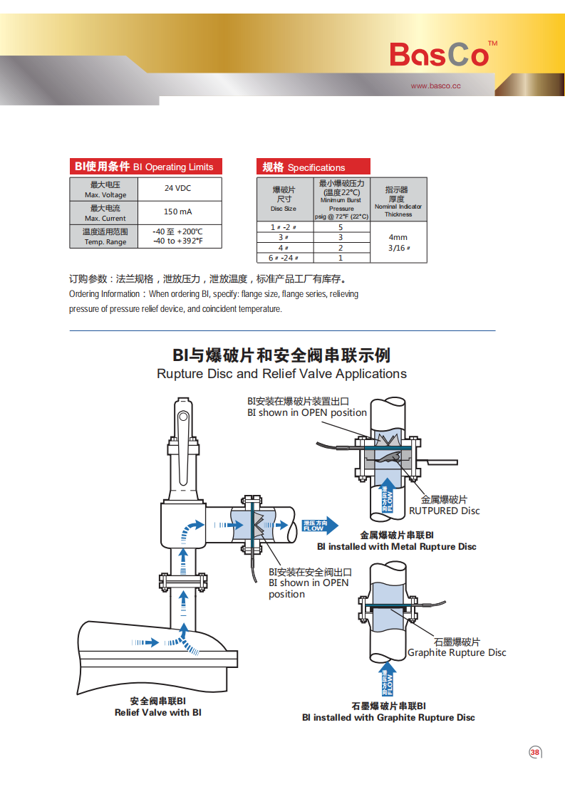 BI Type Burst Indicator